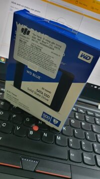 Ổ cứng SSD laptop WD Blue 500GB(Bảo Hành: 2 năm)