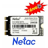 Ổ cứng SSD M.2 2242 SATA Netac N5N 120GB 256GB - bảo hành 3 năm