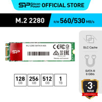 Ổ cứng SSD M.2 2280 SATA 3 Silicon Power A55 128GB / 256GB / 512GB / 1TB| Bảo hành 3 năm