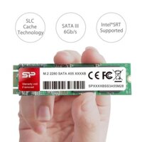 Ổ cứng SSD M.2 2280 SATA 3 Silicon Power 128GB / 256GB / 512GB / 1TB| Bảo hành 3 năm