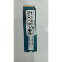 Ổ cứng SSD M2 PCIe NVMe 256GB và Ổ cứng SSD M2-SATA 256gb