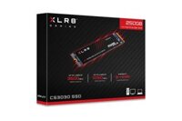 Ổ Cứng SSD M2-PCIe PNY XLR8 CS3030 250GB