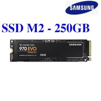 Ổ CỨNG SSD M2 SAMSUNG 970EVO Plus PCIe NVMe  250GB- CHÍNH HÃNG