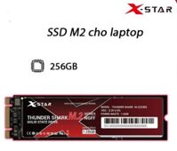 Ổ cứng SSD M2 Xstar 256gb