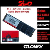 Ổ cứng SSD M2.NGFF Gloway 256GB (SATA III) – CHÍNH HÃNG – Bảo hành 3 năm