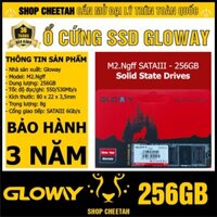 Ổ cứng SSD M2.NGFF Gloway 256GB (SATA III) – CHÍNH HÃNG – Bảo hành 3 năm - SSD M2