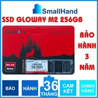 Ổ cứng SSD M2.NGFF Gloway 256GB (SATA III) – CHÍNH HÃNG – Bảo hành 3 năm - SSD M.2 256GB