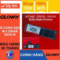 Ổ cứng SSD M2.NGFF Gloway 256GB (SATA III) – CHÍNH HÃNG – Bảo hành 3 năm - SSD M.2