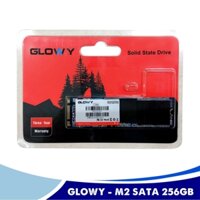 Ổ Cứng SSD MSata GLOWAY 256Gb