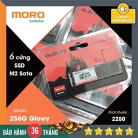 Ổ cứng SSD Msata/M2 sata 128GB/256GB Suneast/Glowy - Hàng chính hãng bảo hành 36 tháng