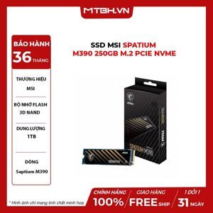 Ổ cứng SSD MSI SPATIUM M390 NVMe M.2 250GB