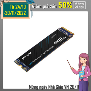 Ổ cứng SSD PNY CS1031 256GB M.2 2280 NVMe