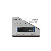 Ổ cứng SSD PNY CS1031 256GB M.2 2280 PCIe NVMe Gen 3×4 (Đọc 1700MB/s – Ghi 1100MB/s)