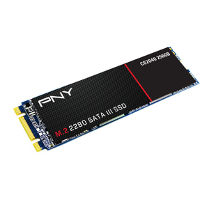 Ổ cứng SSD PNY CS2040 M.2 2280 256GB