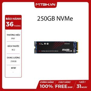 Ổ cứng SSD PNY CS3030 250GB