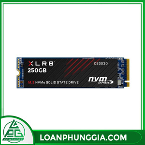 Ổ cứng SSD PNY CS3030 250GB