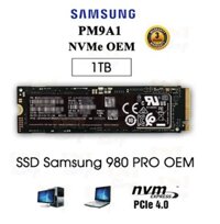 Ổ Cứng SSD Samsung 1TB NVMe PM9A1 M2 PCIe Gen4 x4  Tháo máy Zin
