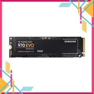 Ổ cứng SSD Samsung 970 EVO NVMe 2280 250GB