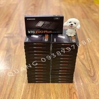 Ổ Cứng SSD Samsung 970 EVO PLUS 1TB