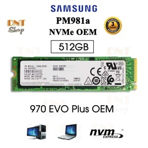 Ổ cứng SSD Samsung NVMe PM981A 512GB