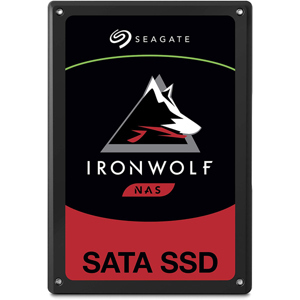 Ổ cứng SSD Seagate IronWolf 110 480GB