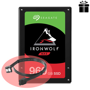 Ổ cứng SSD Seagate IronWolf 110 960GB