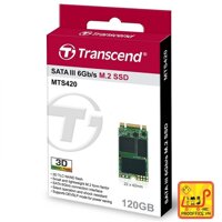 Ổ cứng SSD Transcend TS120GMTS420S 120GB M.2 – 2242