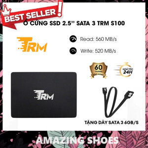 Ổ Cứng SSD TRM S100 128GB
