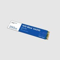 Ổ cứng SSD WD Blue SA510 500GB M.2 2280 WDS500G3B0B - Hàng Chính Hãng - 250GB