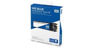 Ổ cứng SSD WD Blue SN570 250GB NVMe PCIe Gen3x4 WDS250G3B0C