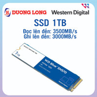 Ổ cứng SSD WD Blue SN570 250GB/500GB/1TB PCIe Gen3 x4 NVMe M.2