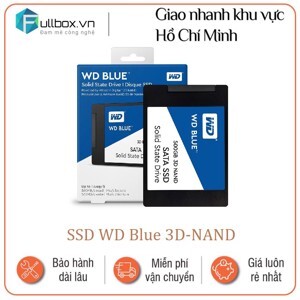 Ổ cứng SSD WD Blue WDS100T2B0A - 1TB