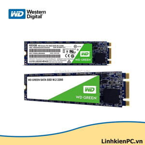 Ổ cứng SSD WD Green 480GB M2 2280 (WDS480G2G0B)