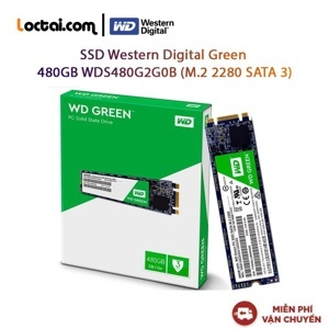 Ổ cứng SSD WD Green 480GB M2 2280 (WDS480G2G0B)