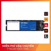 Ổ Cứng  SSD Western 500GB M2 Sata 3 Blue
