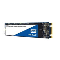 Ổ Cứng SSD Western Blue 1TB M2 2280 3D NAND WDS100T2B0B SA510