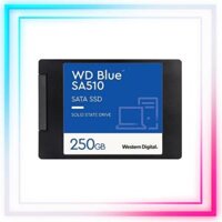 Ổ Cứng SSD Western Blue 250G Sata III (WDS250G3B0A)