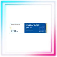 Ổ Cứng SSD Western Blue 250G SN570 M.2 2280 NVMe Gen3 x4 (WDS250G3B0C)