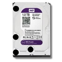 Ổ cứng WD Purple 1TB WD10PURZ