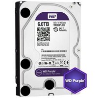 Ổ Cứng WD Purple 6TB WD60PURX