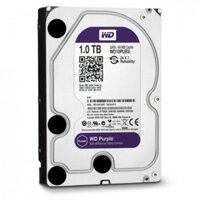 Ổ cứng Western Digital 1TB Purple