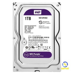 Ổ cứng Western Digital Purple - 1TB, 64MB Cache