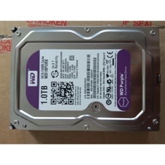Ổ cứng Western Digital Purple - 1TB, 64MB Cache