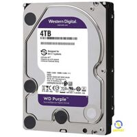 Ổ cứng Western Digital Purple 4TB 256MB Cache 5400RPM WD42PURZ - Máy tính, laptop, máy in, máy photocopy Ninh Bình - Nguyệt Phong Lan