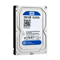 Ổ cứng Western HDD WD Caviar Blue Sata 250GB (Xanh)