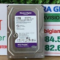Ổ Cứng Western Purple 1TB dòng ổ cứng chuyên dụng cho camera hàng vĩnh xuân bh 36t