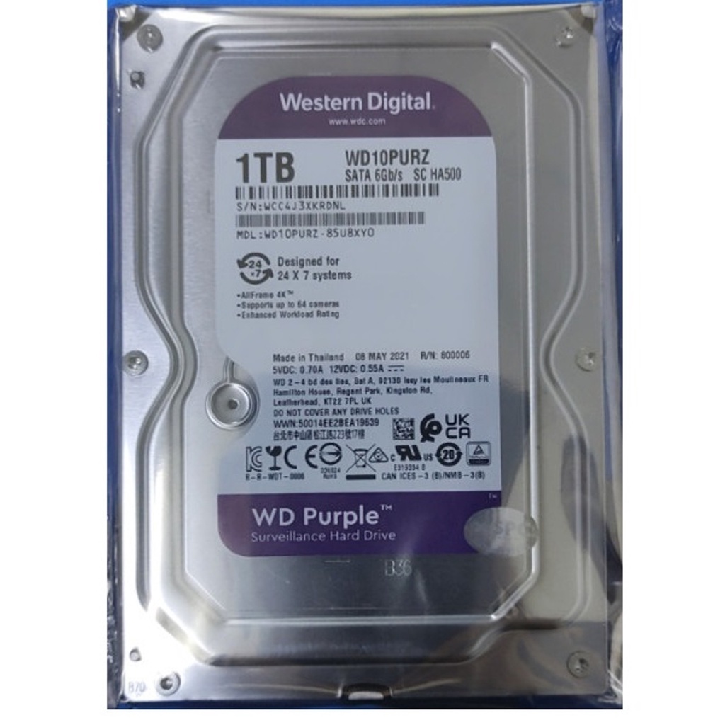 Ổ cứng Western Purple WD10PURZ - 1TB