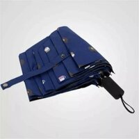 Ô dù đi mưa gấp gọn hình gấu Brown - Xanh than