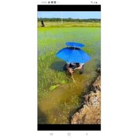 Ô dù đội đầu đa năng, mũ dù câu cá, mũ dù đội đầu, ô đội đầu