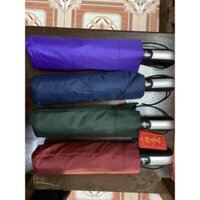 Ô dù gấp cầm tay loại size lớn, 10 nan cứng cáp chắc chắn - 115.000/cây